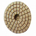 polishing pad 1