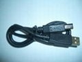 USB線(電腦及週邊設備連接線纜；多媒體、汽車音響、家庭影)