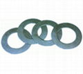 Reinforced Graphite Gasket