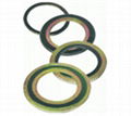 Spiral Wound Gaskets