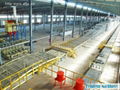 gypsum board production line with 16