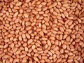 beans, bean, peanut kernels, walnut kernels,pumpkin seeds 1