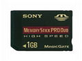 fiery selling memory cards at factory price 4