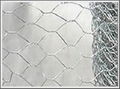 Hexagonal wire mesh  1