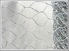 Hexagonal wire mesh 