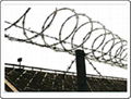 Razor wire