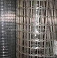 welded wire mesh