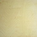 birch plywood  1