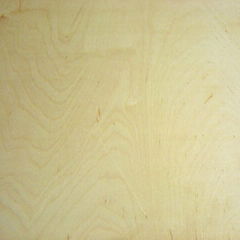 birch plywood