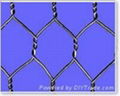 Hexagonal wire mesh