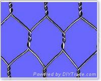 Hexagonal wire mesh