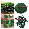 spirulina & Chlorella &Kelp (Laminaria) &Wakame 