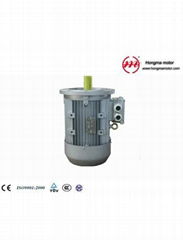 MD series multispeed three phase motor