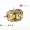 GOST series three-phase asynchronous electric motors 1