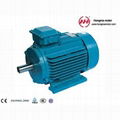 NEMA series High Efficiency Three Phase Induction Motor 1