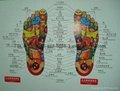 Detox foot spa(massage shoes with two people)-C06 2