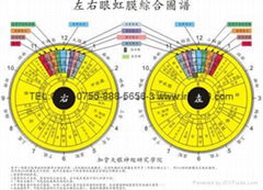 iridology chart(iridology eye chart)