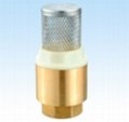 Brass spring check valve with   stainless steel filter