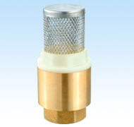 Brass spring check valve with   stainless steel filter