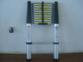 telescopic  ladder