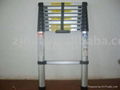 telescopic ladder 2