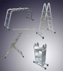 multi-purpose ladder