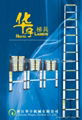 telescopic ladder 1