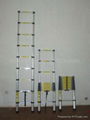 telescopic ladder 4