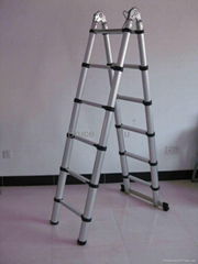 multi-purpose telescopic ladder