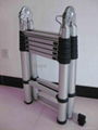 multi-purpose telescopic ladder 2