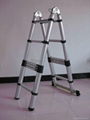 multi-purpose telescopic ladder 3