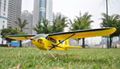 Sell 2.4Ghz Anti - Crash Mini Piper J3 Cub RTF RC Planes ES9903A