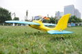 Remote Control Sport Plane "Dolphin Glider" 2.4 G 4ch Brushless EPO RTF(ES9902A) 4