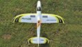 2.4Ghz 4ch RC Airplanes Sport Plane Dolphin Glider Brushless EPO RTF (ES9902C)   3