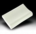 Latex Foam Wave Pillow  1