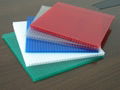 Twin-wall polycarbonate(PC) sheet