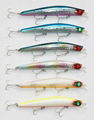 janpanese brand fishing lure 1