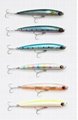 janpanese brand fishing lure 2
