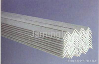 Stainless Steel Angle Bar