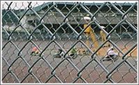 chain link fence  3