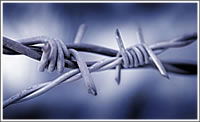 barbed wire 