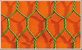 hexagonal wire mesh 