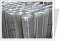 welded wire mesh  1