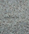 Granite slab 1