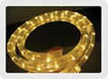 Waterproof Flexible PVC LED Strip Light/Light Tube/Light Ribbon 1