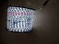 Waterproof Flexible PVC LED Strip Light/Light Tube/Light Ribbon 3