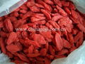 Goji berries 1