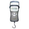 Fishing scale with backlight