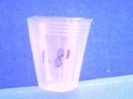 蝴蝶蘭營養杯