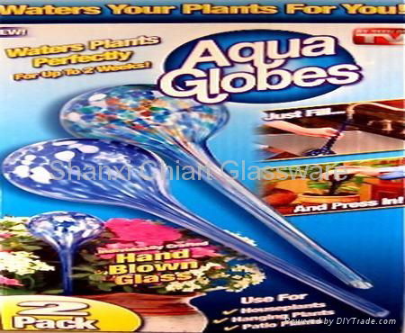 Glass Aqua Globes